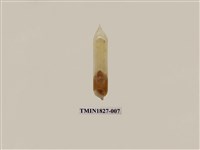 藏品(避債蛾)的圖片